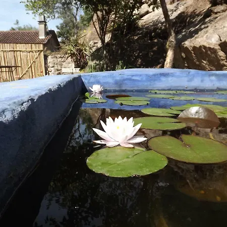 Tatil Evi Casa Rural Varinho